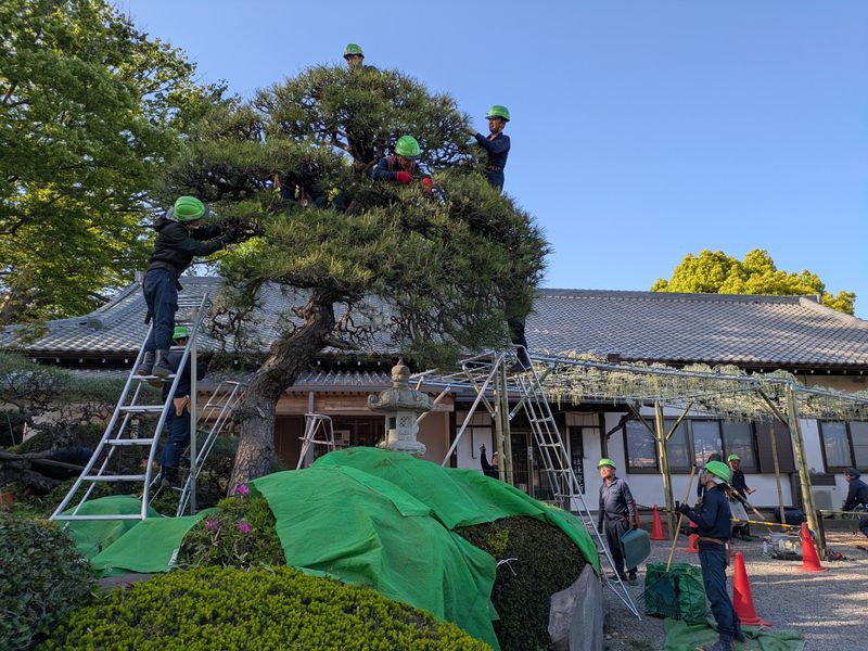 蛭田造園株式会社の求人・転職情報