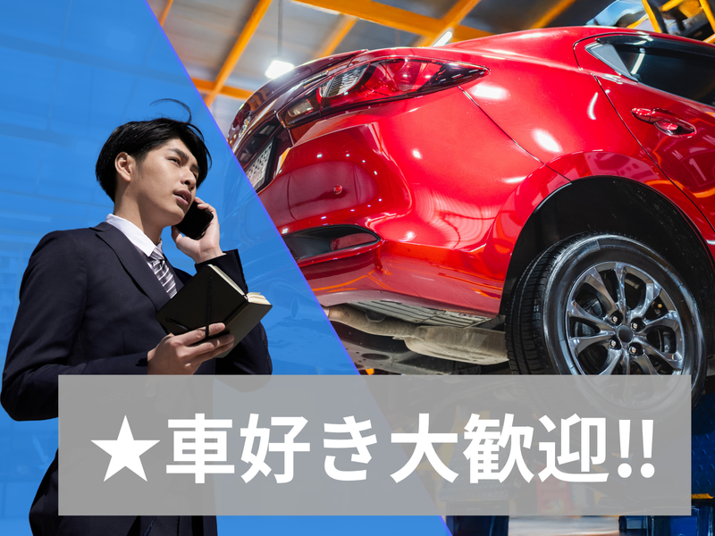 安全自動車株式会社の求人・転職情報