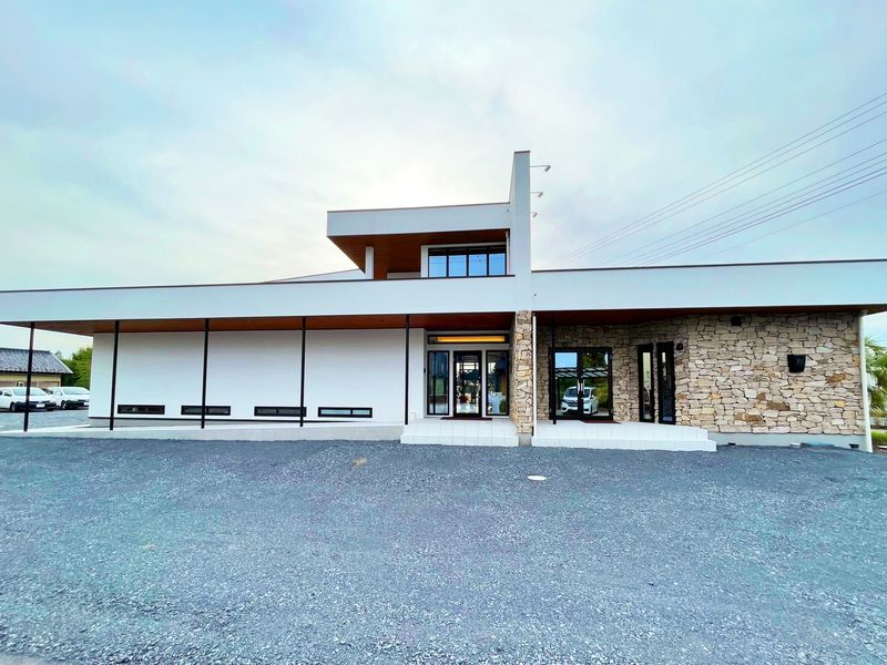 Ne Plus株式会社の求人・転職情報