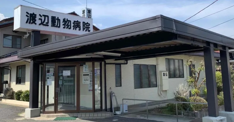 株式会社Withmalの求人・転職情報