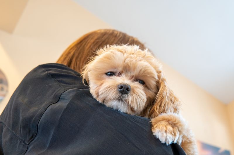 Ａ’ａｌｄａ　Ｘ株式会社の求人・転職情報