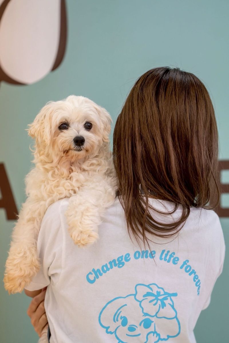 株式会社ＰｏｌａｒＣｏａｓｔの求人・転職情報