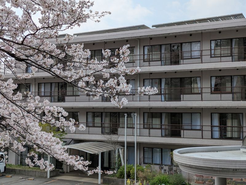 社会福祉法人緑成会の求人・転職情報