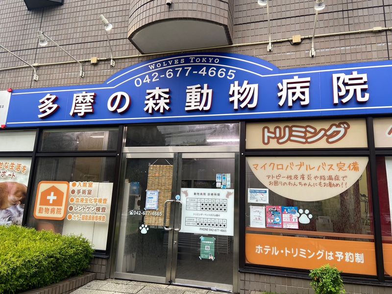 株式会社 WOLVES HANDの求人・転職情報