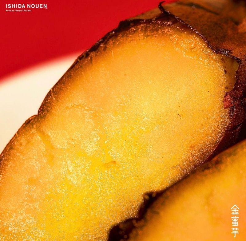 株式会社さつまいもの石田農園の求人・転職情報