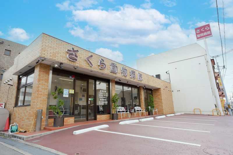 VCA Japan 合同会社の求人・転職情報