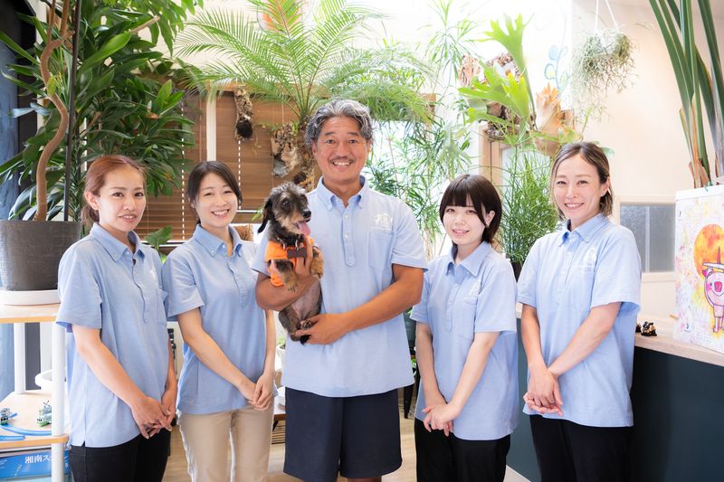 藤沢はたま犬猫病院の求人・転職情報