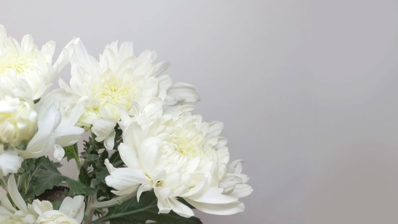 株式会社日比谷花壇の求人・転職情報