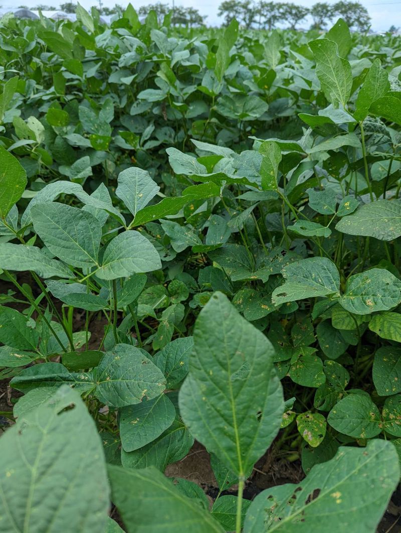 株式会社ネットオン for ライズの求人・転職情報